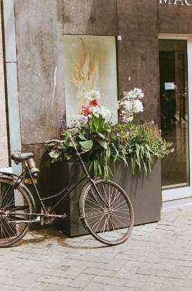 Bunter Bouquet