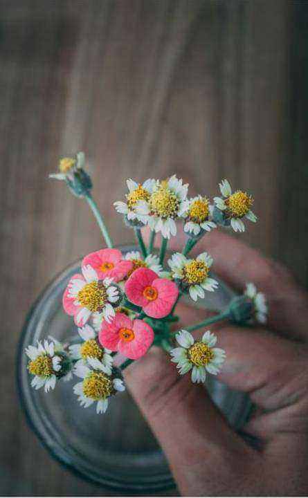 Günstiges Bouquet