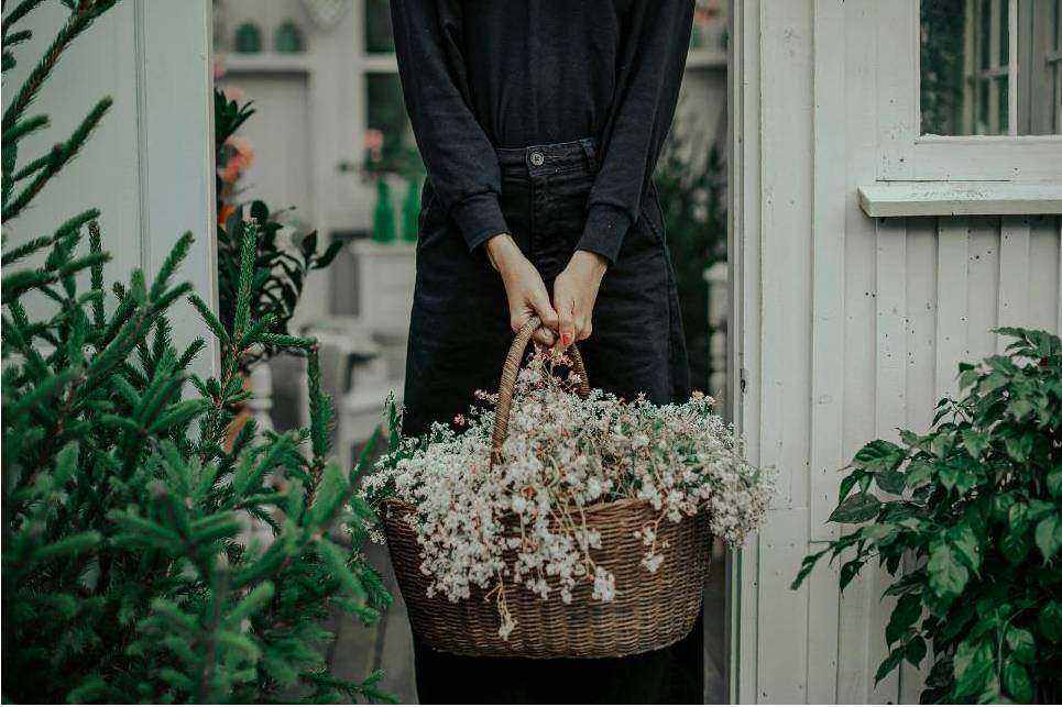 Bouquet 1