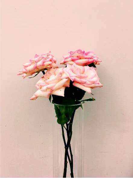 Bouquet 4