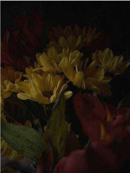 Lastminute Blumen Hintergrund