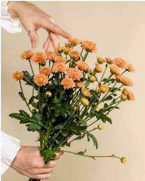 Lastminute Bouquet 2