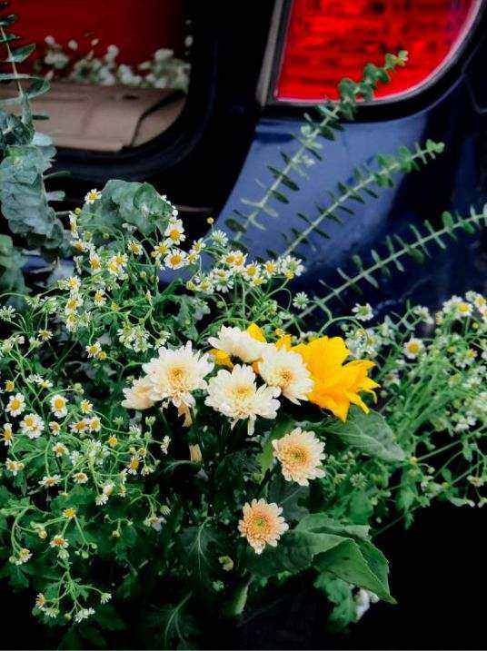 Bundle Sommer
